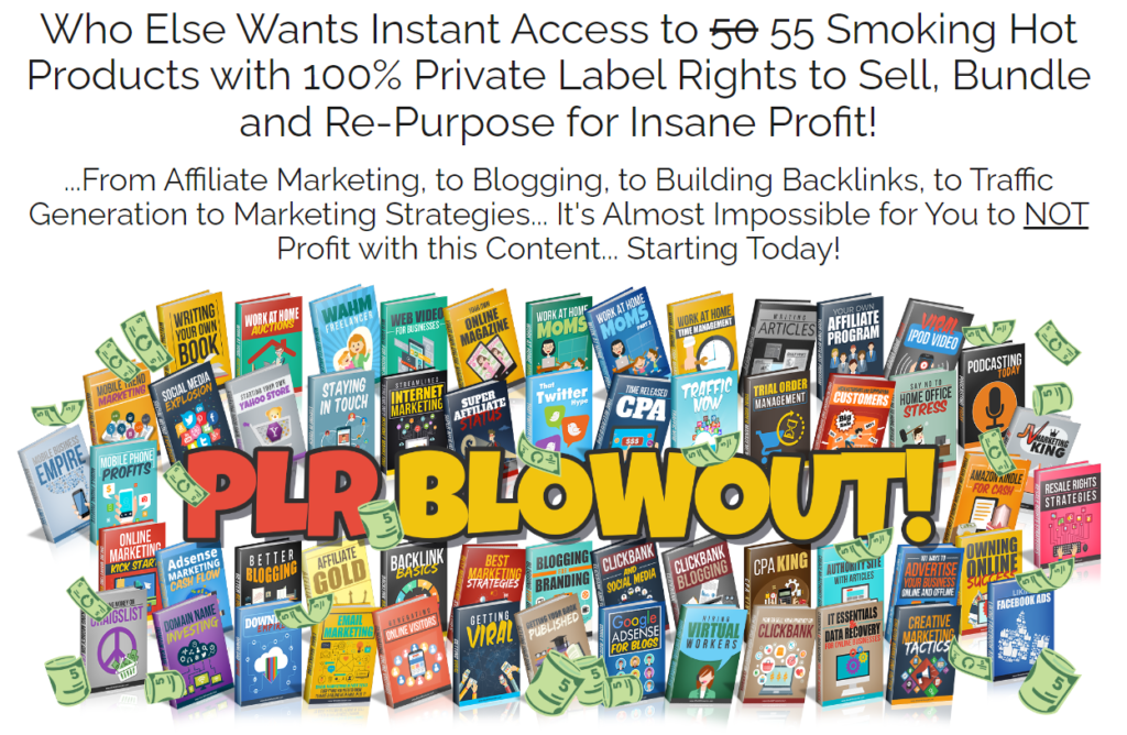 PLR BLOWOUT