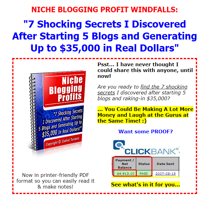 NICHE BLOGGING PROFIT WINDFALLS